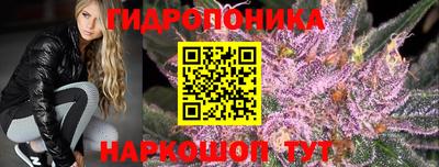 кокс Моздок