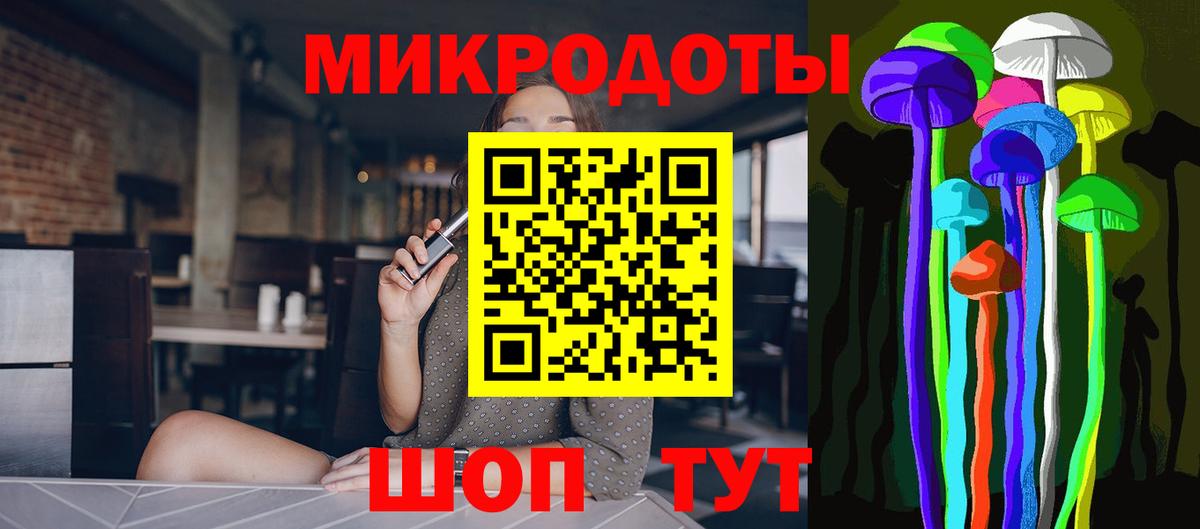Псилоцибиновые грибы Psilocybine cubensis Кингисепп