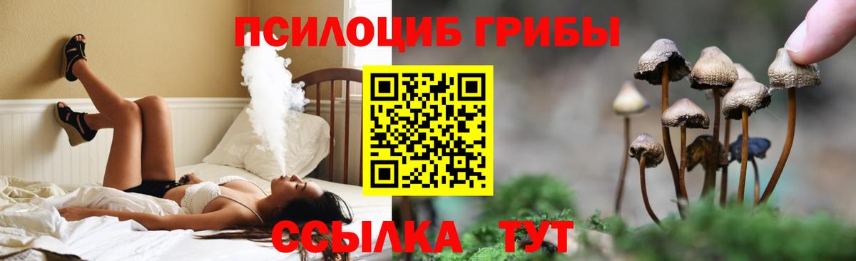 Галлюциногенные грибы Psilocybe  Вход с VPN  Кингисепп 