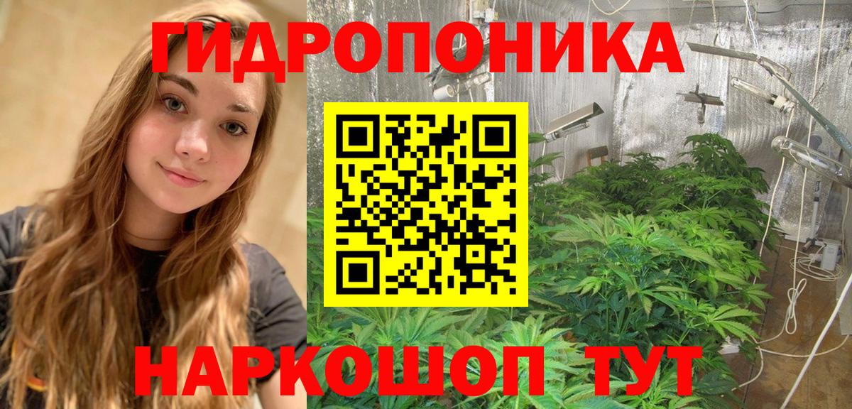 Бошки марихуана MAZAR  Вход с VPN  МАРИХУАНА VHQ  Кингисепп  Бошки марихуана планчик  Бошки Шишки THC 21% 